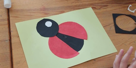 Powiększ grafikę: dzien-kropki-638899.jpg