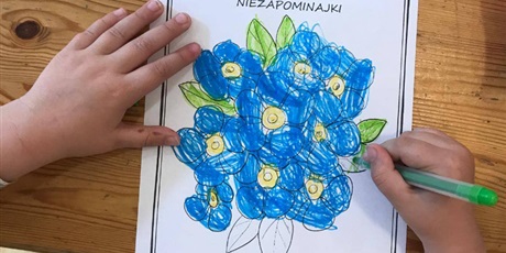 Powiększ grafikę: dzien-niezapominajki-616014.jpg