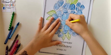 Powiększ grafikę: dzien-polskiej-niezapominajki-694597.jpg
