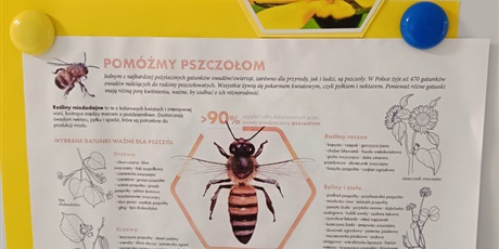 Powiększ grafikę: miedzynarodowy-dzien-pszczol-616020.jpg