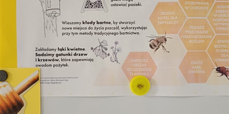 Powiększ grafikę: miedzynarodowy-dzien-pszczol-616023.jpg