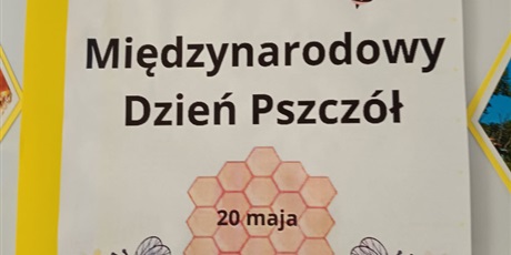 Powiększ grafikę: miedzynarodowy-dzien-pszczol-616024.jpg