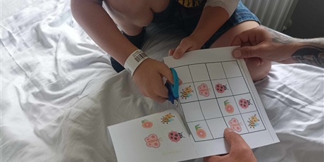 Powiększ grafikę: miedzynarodowy-dzien-sudoku-552322.jpg