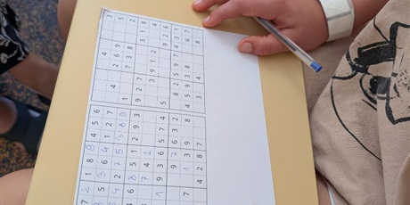 Powiększ grafikę: miedzynarodowy-dzien-sudoku-637707.jpg