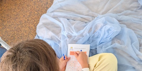 Powiększ grafikę: miedzynarodowy-dzien-sudoku-637712.jpg