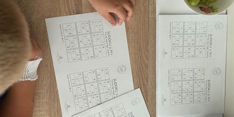 Powiększ grafikę: miedzynarodowy-dzien-sudoku-711104.jpg