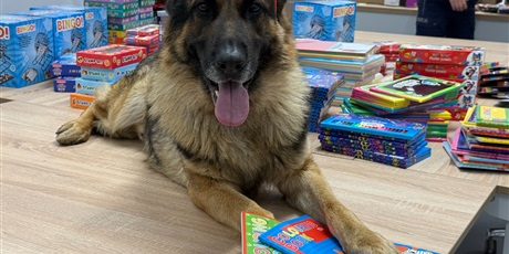 Powiększ grafikę: niebiescy-mikolaje-664239.jpg