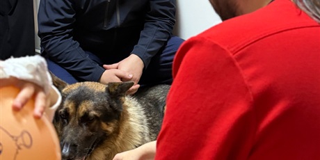 Powiększ grafikę: niebiescy-mikolaje-664245.jpg