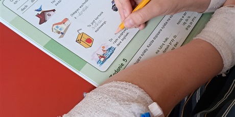 Powiększ grafikę: ortografia-z-usmiechem-621393.jpg