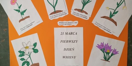 Powiększ grafikę: rysunki wiosennych kwiatów