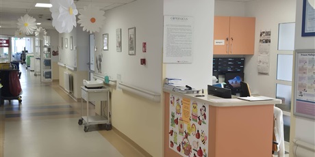 Powiększ grafikę: swiateczne-dekoracje-684422.jpg