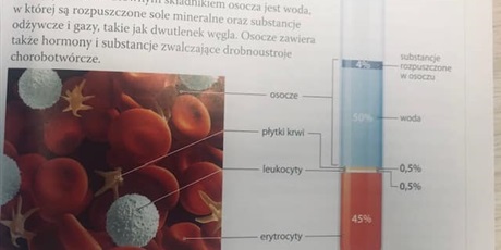 Powiększ grafikę: swiatowy-dzien-krwiodawstwa-549897.jpg