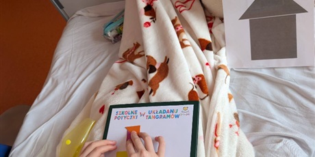 Powiększ grafikę: szkolne-potyczki-z-ukladania-tangramow-687618.jpg