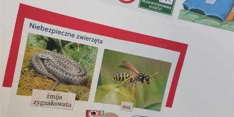 Wkrótce wakacje.