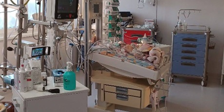 Powiększ grafikę: wosp-gdansk-dla-orkiestry-672789.jpg