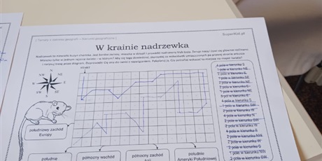 Powiększ grafikę: zajecia-z-geografii-472810.jpg